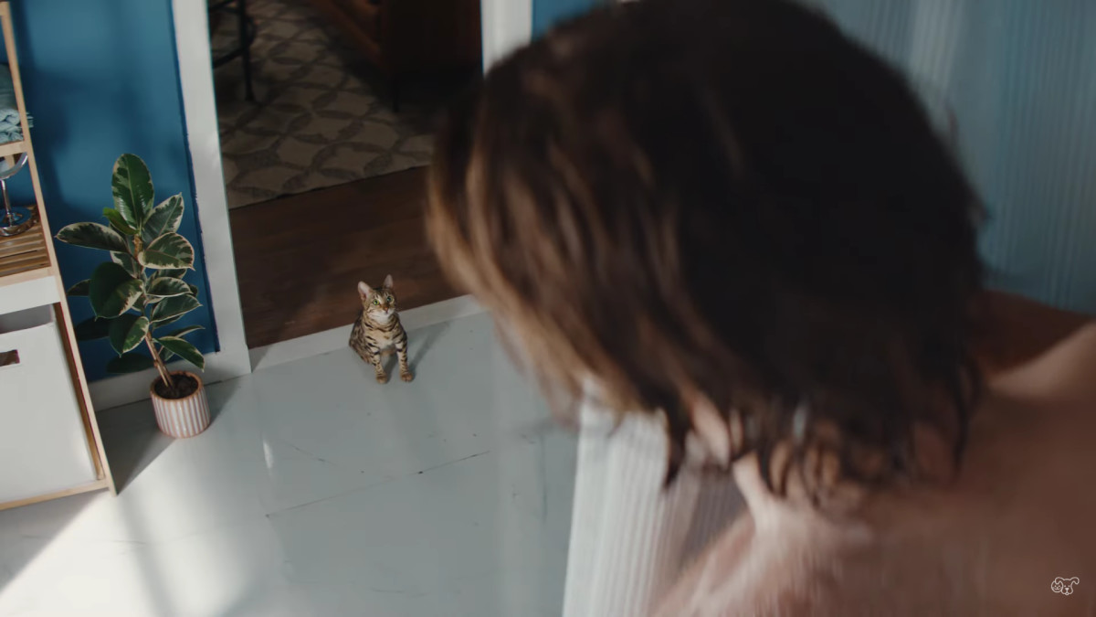 New Ad Says Even Petco Can't Know Everything About Pets