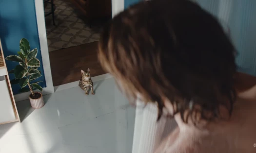 Cat Watches Owner Take a Shower in Petco Spot