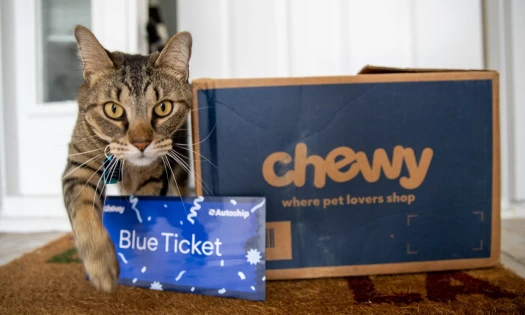 Cat with Chewy's Blue Ticket