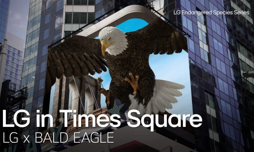 LG x Bald Eagle