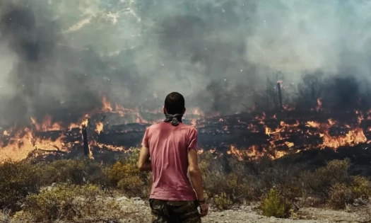 WWF's Olympic campaign highlights the hottest year ever