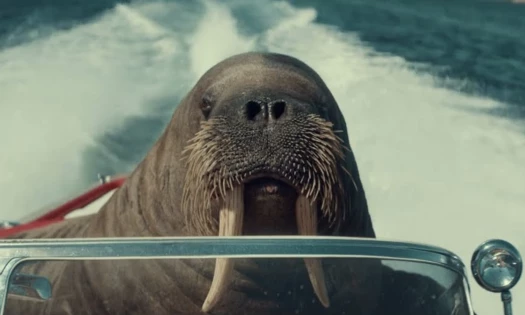 Virgin Media - Walrus Whizzer