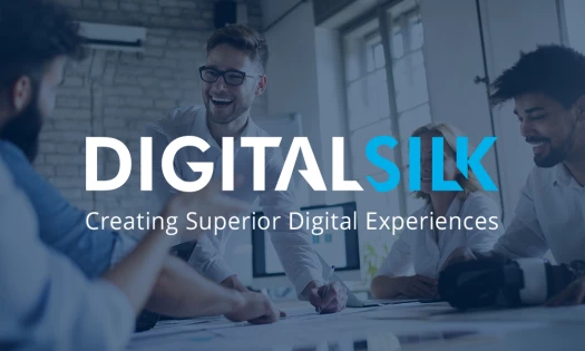 Digital Silk Logo