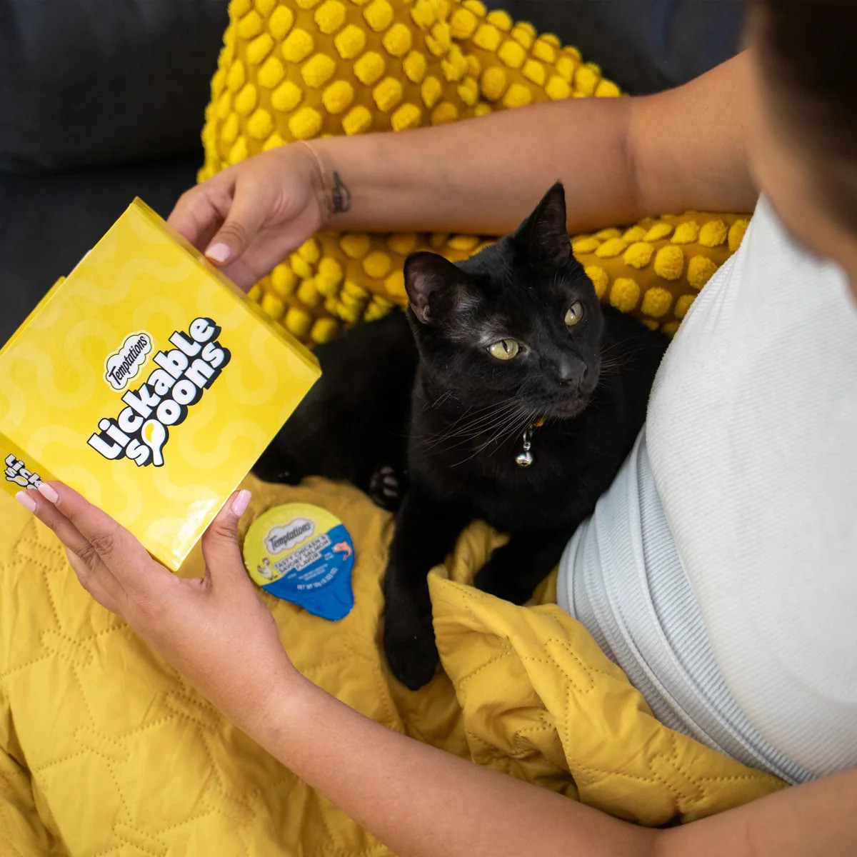 TEMPTATIONS Turns Classic Literature Into Playtime for Cats and Owners