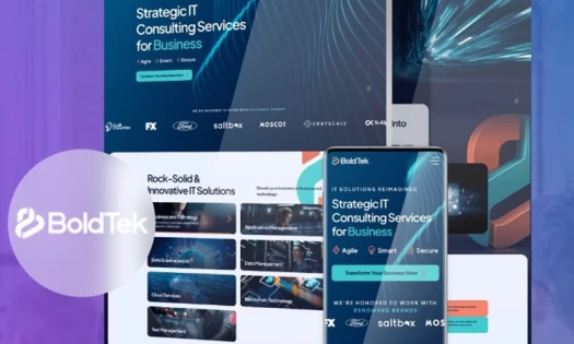 BoldTek website by Digital Silk
