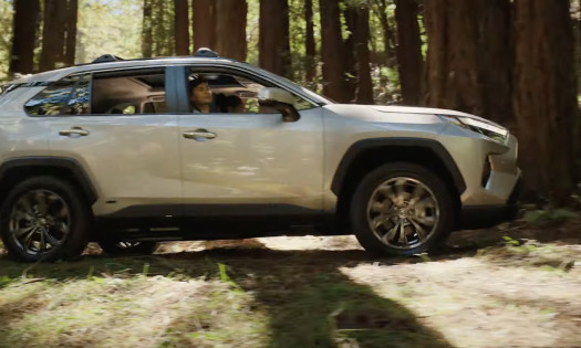 Toyota vehicle riding into a forest