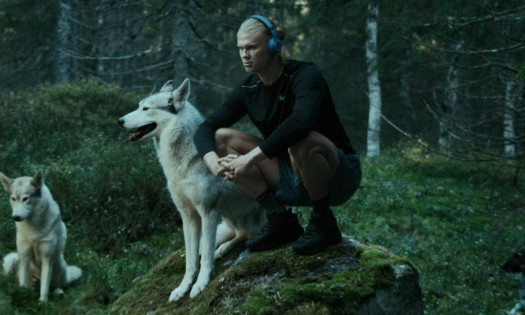 Erling Haaland meditates with dogs