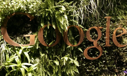 Google logo surrounded by foliage