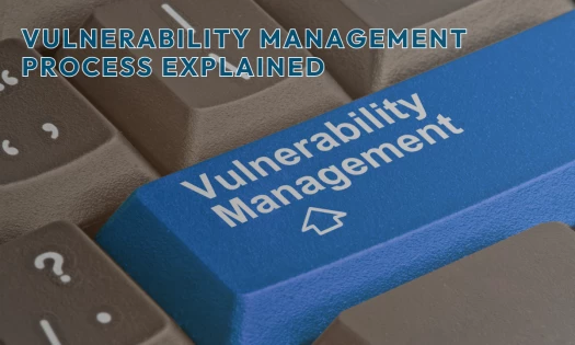 Vulnerability Management Process