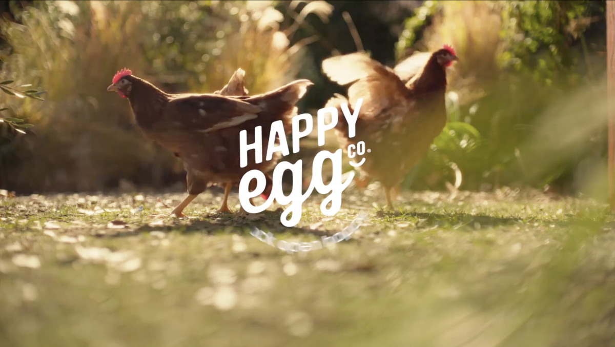Happy Egg Says an Orange Yolk Is Proof of Ethical Farming in New Spot from YARD NYC
