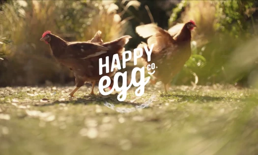 Free-range hens on a field with Happy Hen logo