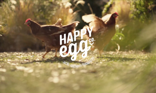 Free-range hens on a field with Happy Hen logo