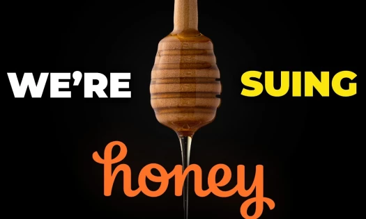 LegalEagle's graphic 'We're Suing Honey'