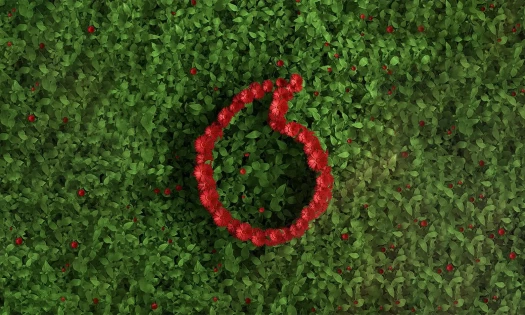 Vodafone sustainability initiative