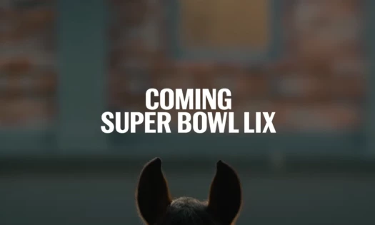 Budweiser's New Clydesdale Foal
