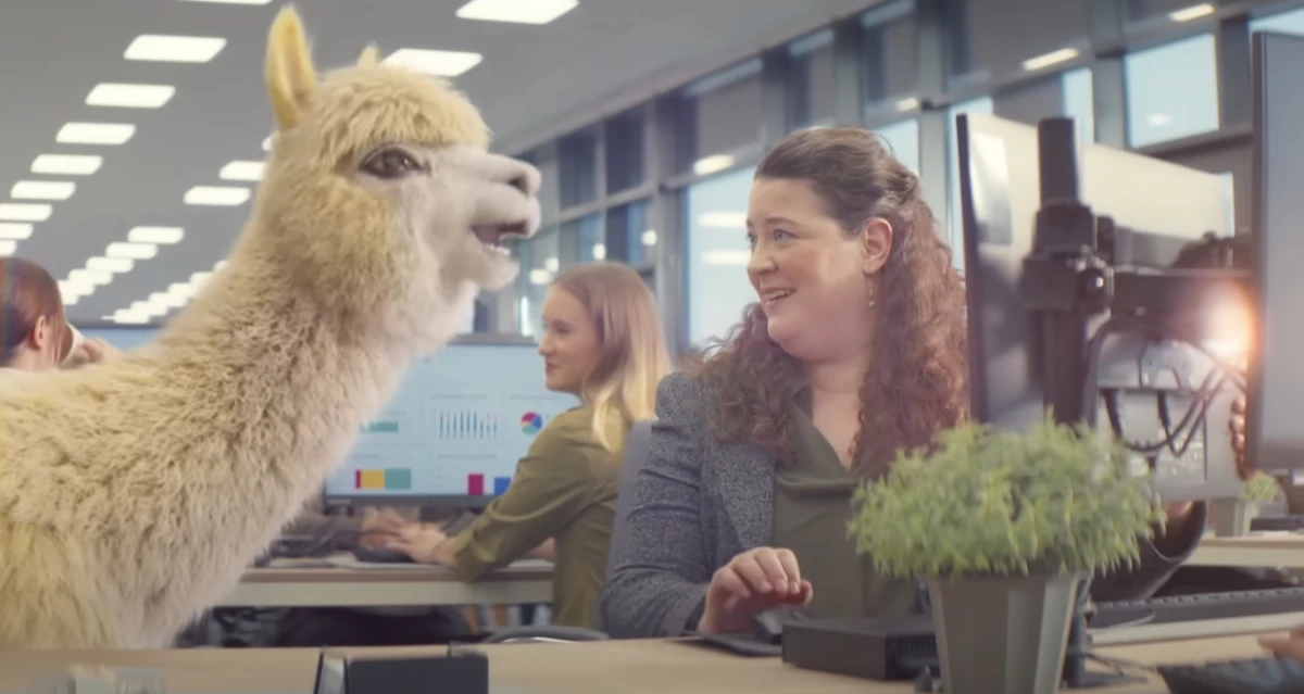Monday.com’s Singing Llamas Bring Love to Work Systems in Whimsical New Campaign