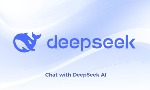 DeepSeek Homepage