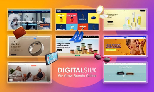 Digital Silk Website Rebranding Guide