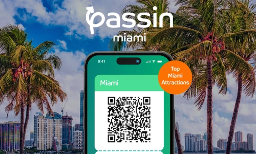 Nockta and Passin Miami's UX Strategy