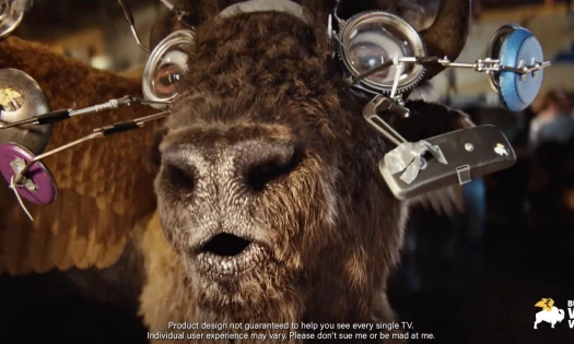 Hank the Wild Buffalo