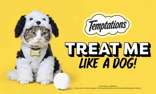"Treat Me Like a Dog"