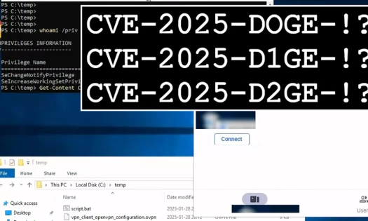 CVE IDs of IXON VPN's vulnerabilities