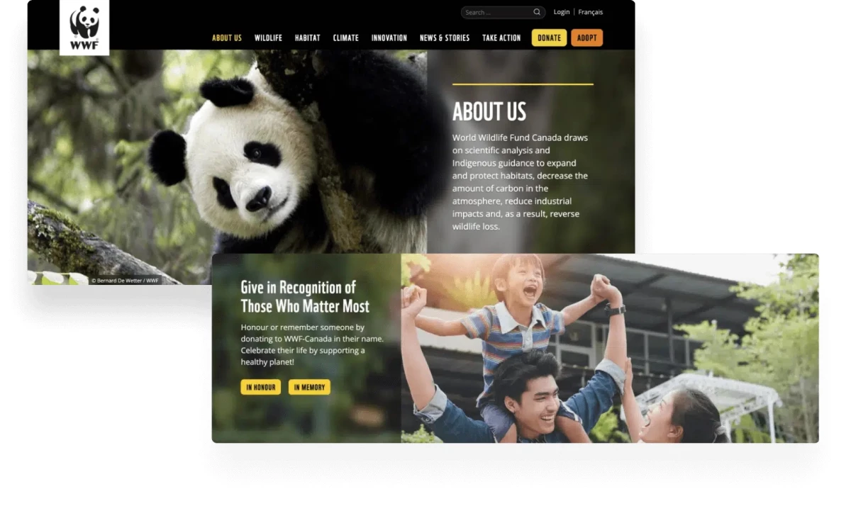 How Smart UX Can Deliver 126% More Donations for Nonprofits