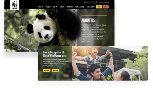 WWF website redesign by Goji Labs