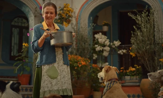 Nonna cooking a sauce for dogs