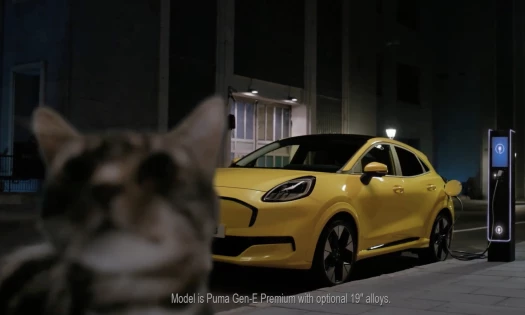 A street cat with the yellow Ford Puma Gen-E charging in the background