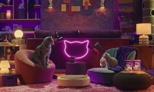 Two cats in the 'purrcast'