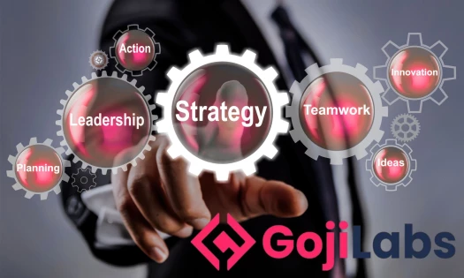 Infographic with words: Planning, Leadership, Action, Strategy, teamwork, Innovation, and Ideas. Goji Labs logo.