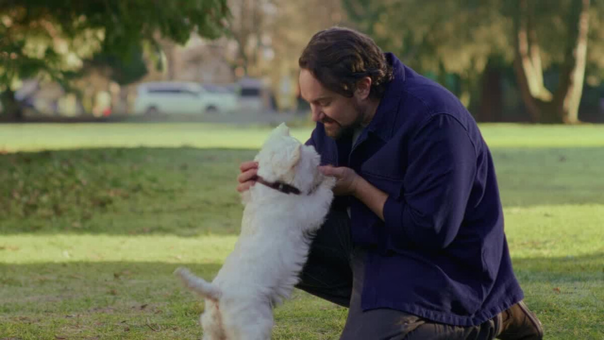 CESAR, BBDO Celebrate Dog Parents Who’d Do Anything for Their Pups