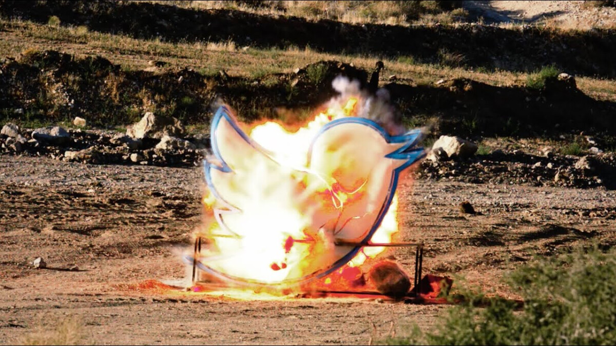 DitchIt Killed Twitter Bird Legacy to Launch Its Brand Without Buying Attention