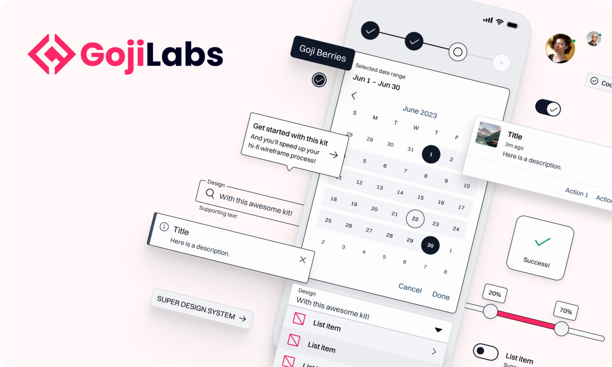 What Goji Labs Can Teach Us About Picking the Right Development Team