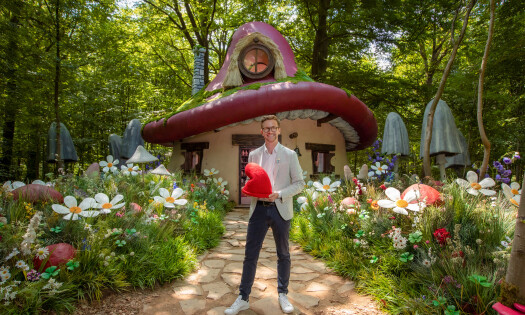 The Airbnb Smurfs Experience