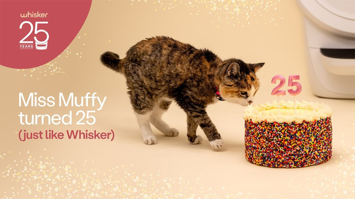 Whisker Celebrates 25 Years with a 25-Year Old Cat and a $25K Giveaway
