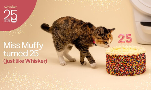 Whisker and Miss Muffy celebrating their 25th birthday