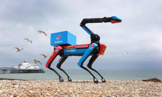 Domidog Delivers Domino's Pizza