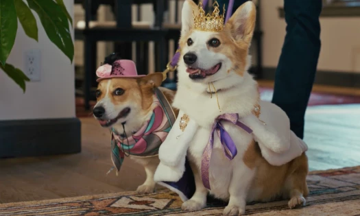 Two corgis dressed in regal costumes