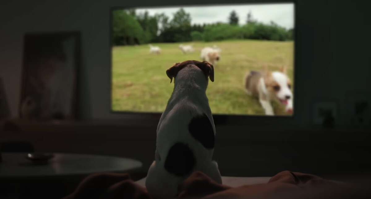 Samsung's SmartThings Brings AI to Daily Life in New Campaign