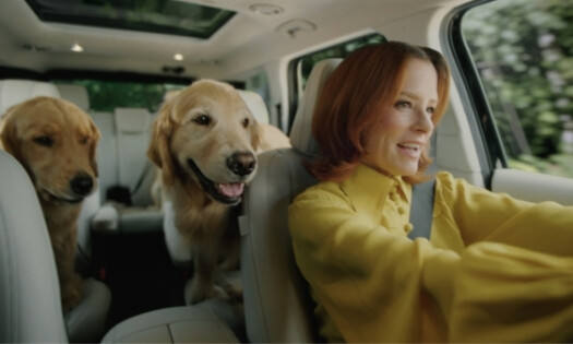Parker Posey driving a Hyundai with her dogs in the backseat