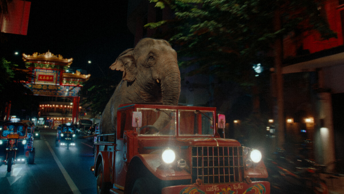 Virgin Media O2 Promotes Streaming & Sports in Elephant-Led Ad from VCCP