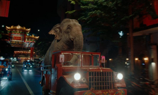 An elephant sits on a truck as it cruises around the city