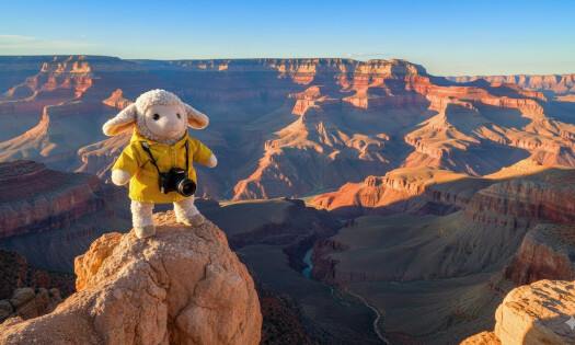 A sheep on top of a cliff