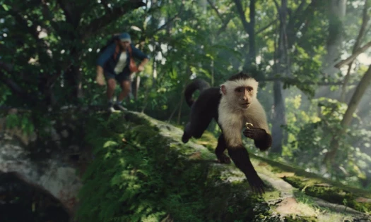 A monkey holding a ring