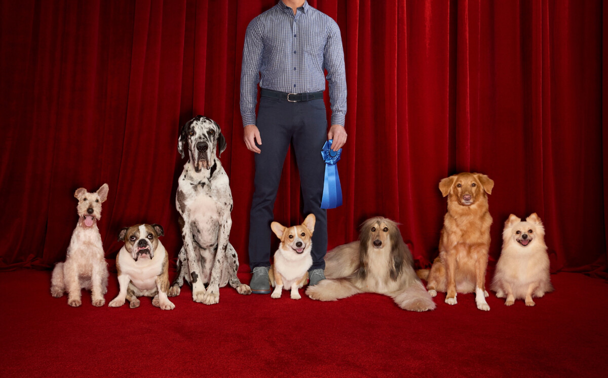 Johnston & Murphy Pairs Its Classic Footwear With Top Dogs at Westminster