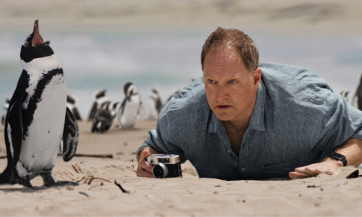 A father with penguins