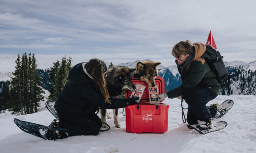 Wander With Willow and their dogs, Gryffin and Luke, at 12,000 feet surrounded by snow and with a red Orijen cooler at the center with FRESHPREY products