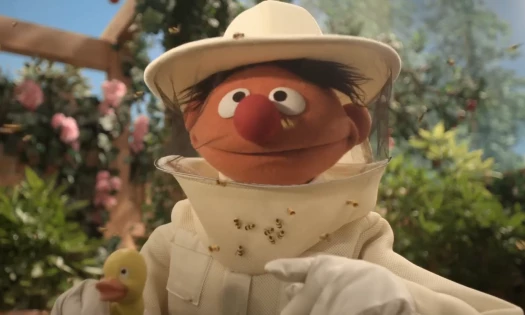 Burt surrounded by bees